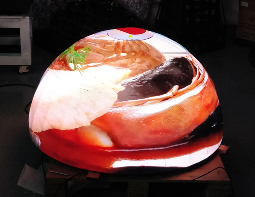 ����ĳ����������