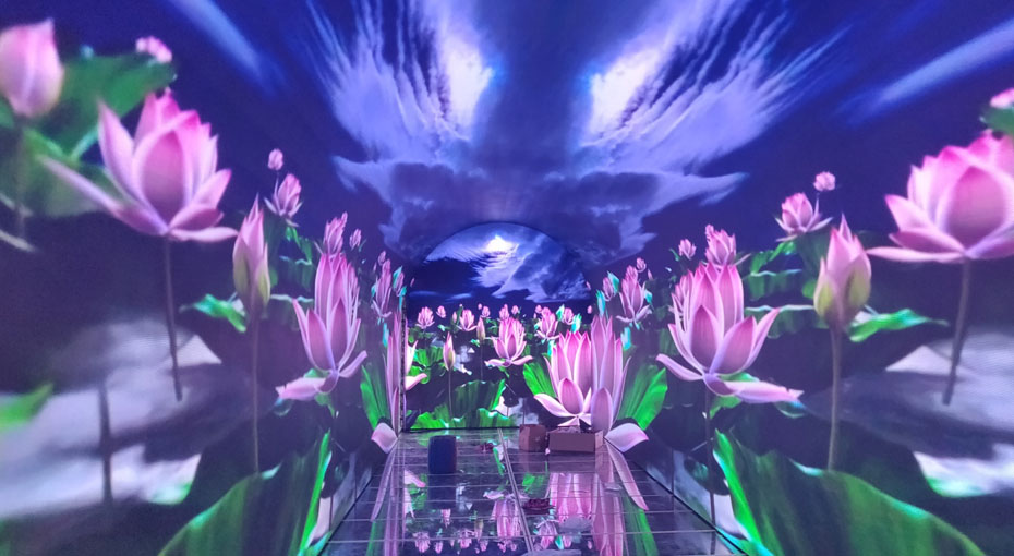 ����ĳ��ѩ���ֳ�������