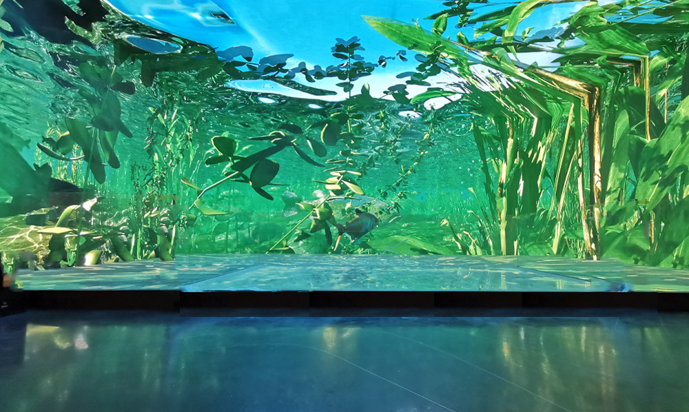 1277星际电子游戏官网