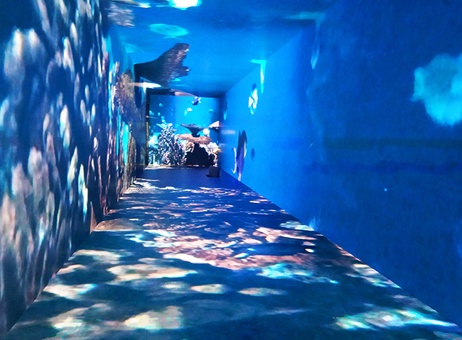 ��������Ĵ�����