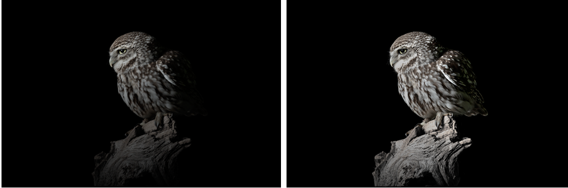 1277ÐǼʵç×ÓÓÎÏ·¹ÙÍø