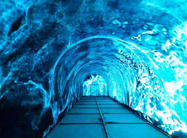 ������Ķ�ɻ�԰