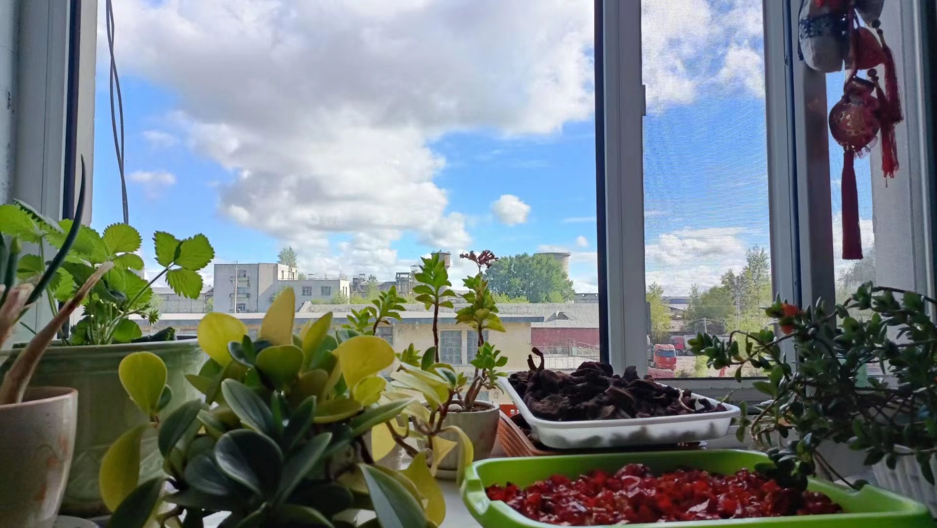 1277�Ǽʵ�����Ϸ����