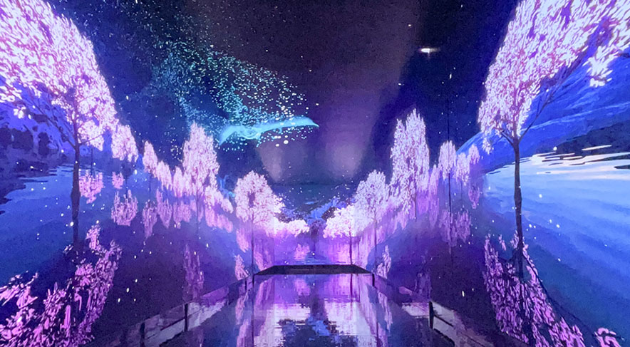 �㶫������ҵչ��