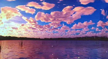 �������б����չ��