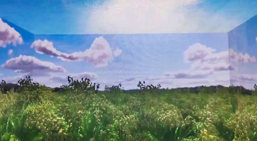 �������б����չ��