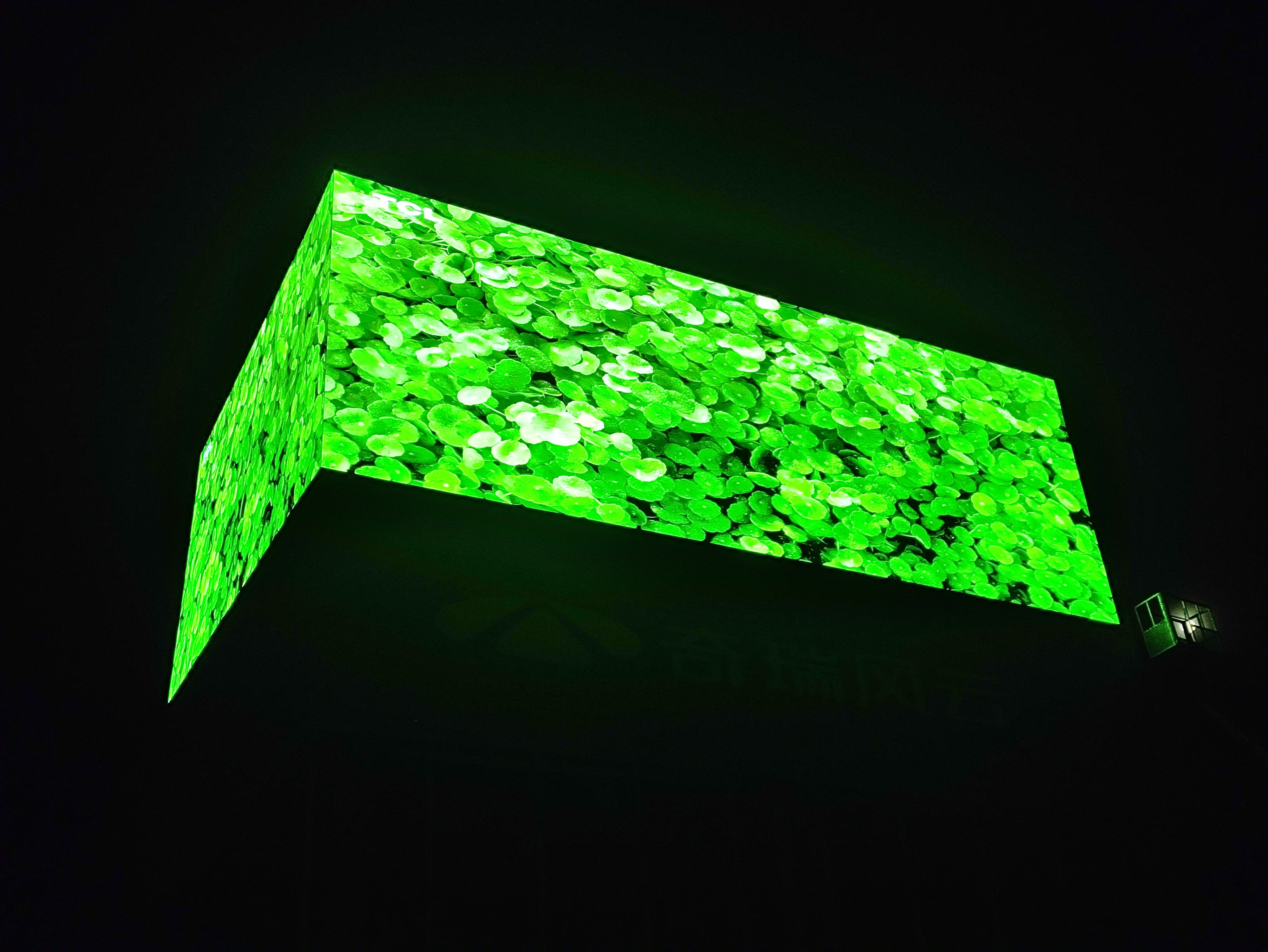 ��������4S������3D