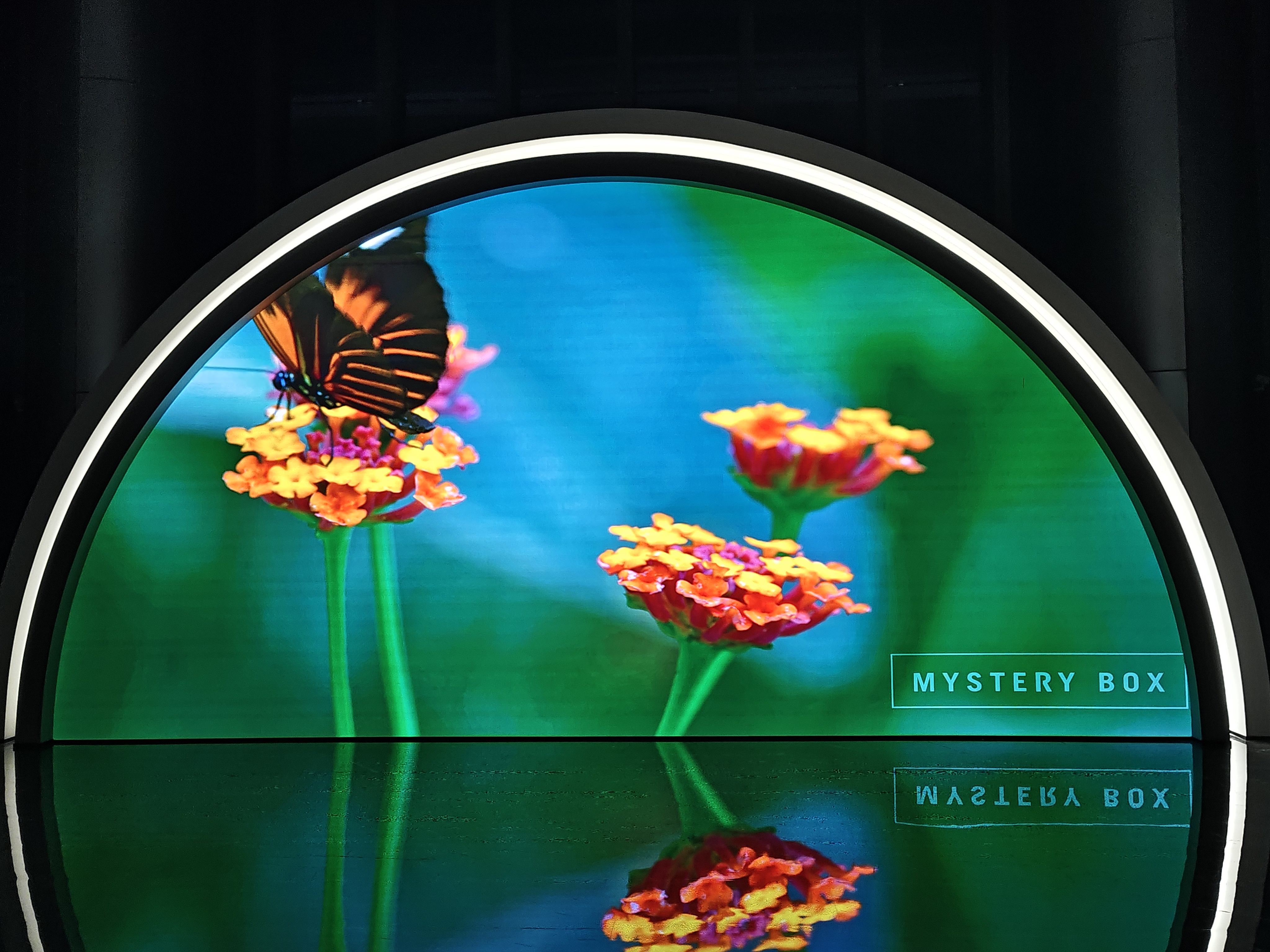 ��ɽ����Բ���δ���