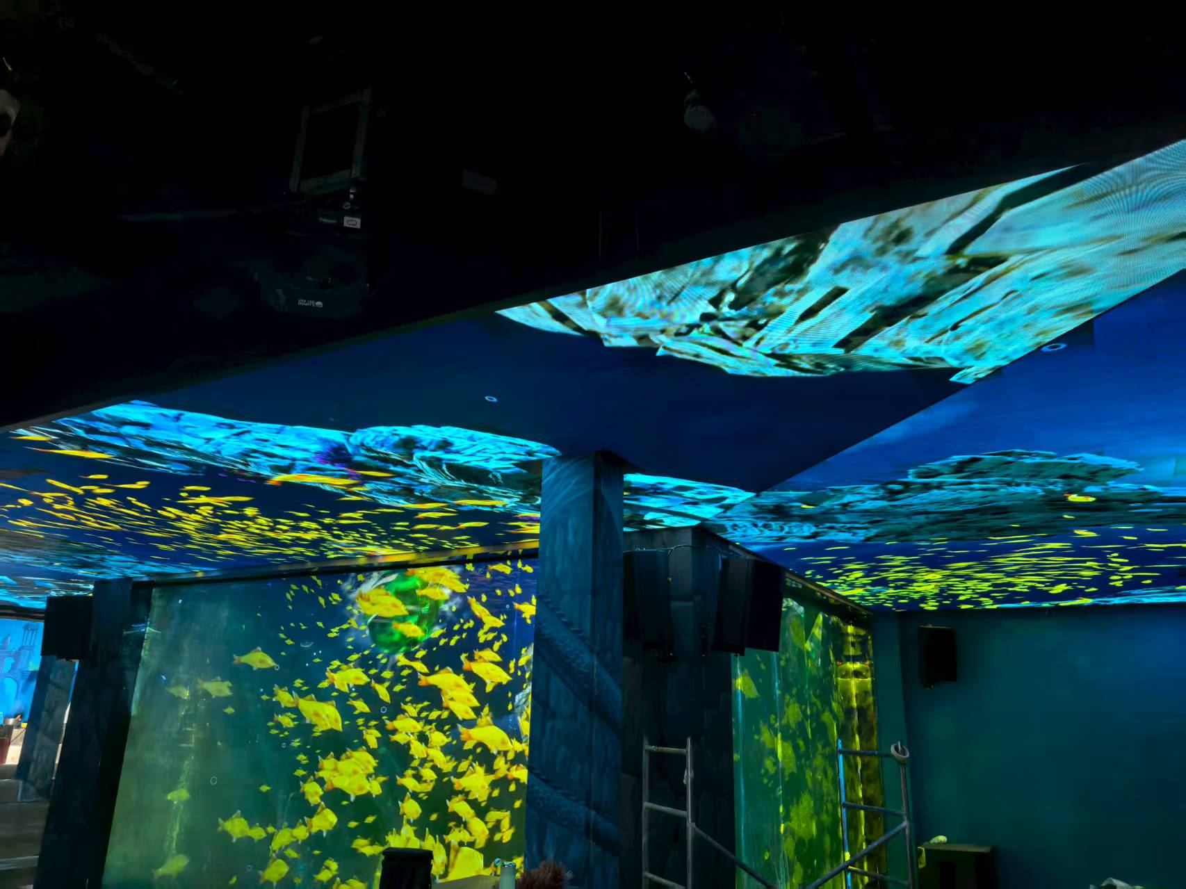 ���ڹ�����������