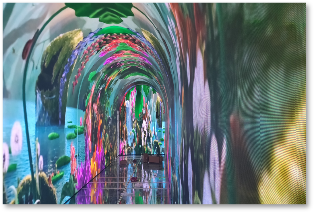 1277�Ǽʵ�����Ϸ����