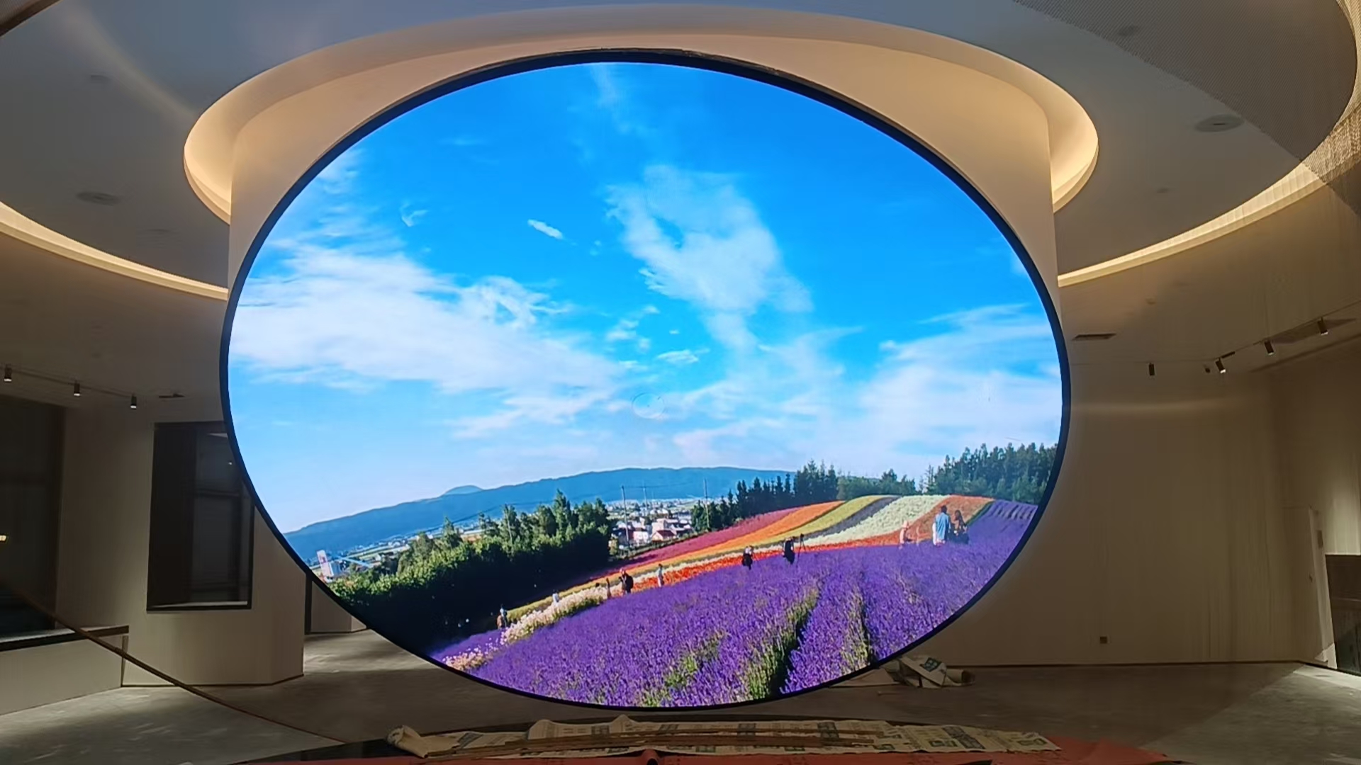 ���ݸ�ҫ񷶥��