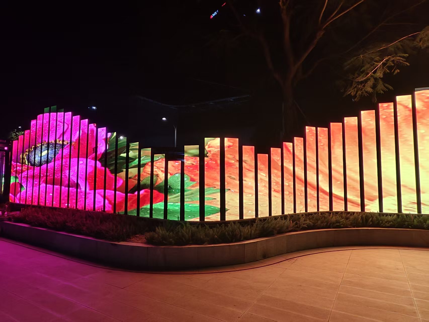 ��������ɽ��