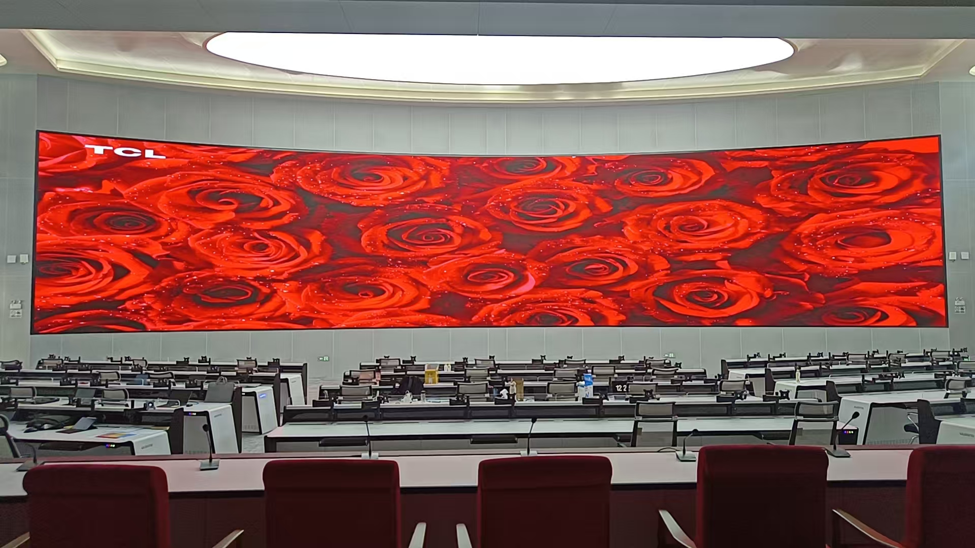 ɽ������